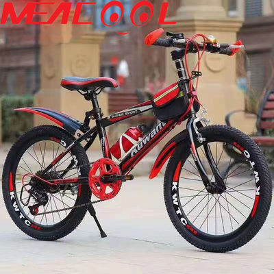 Junior 22in Mountain Bike Light Frame Mountain Bike 6 Speed With Fender Carrier