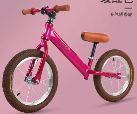 Fashionable Kids 2 Wheel Balance Bike